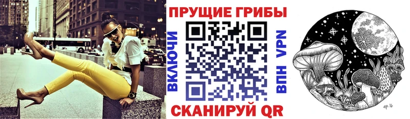 купить наркоту  Юрьевец  Галлюциногенные грибы MAGIC MUSHROOMS 